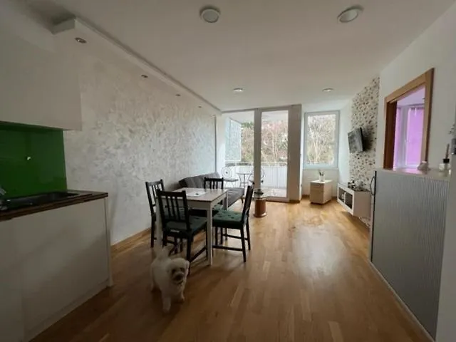 Schoenbrunn Luxury Apartment Viena